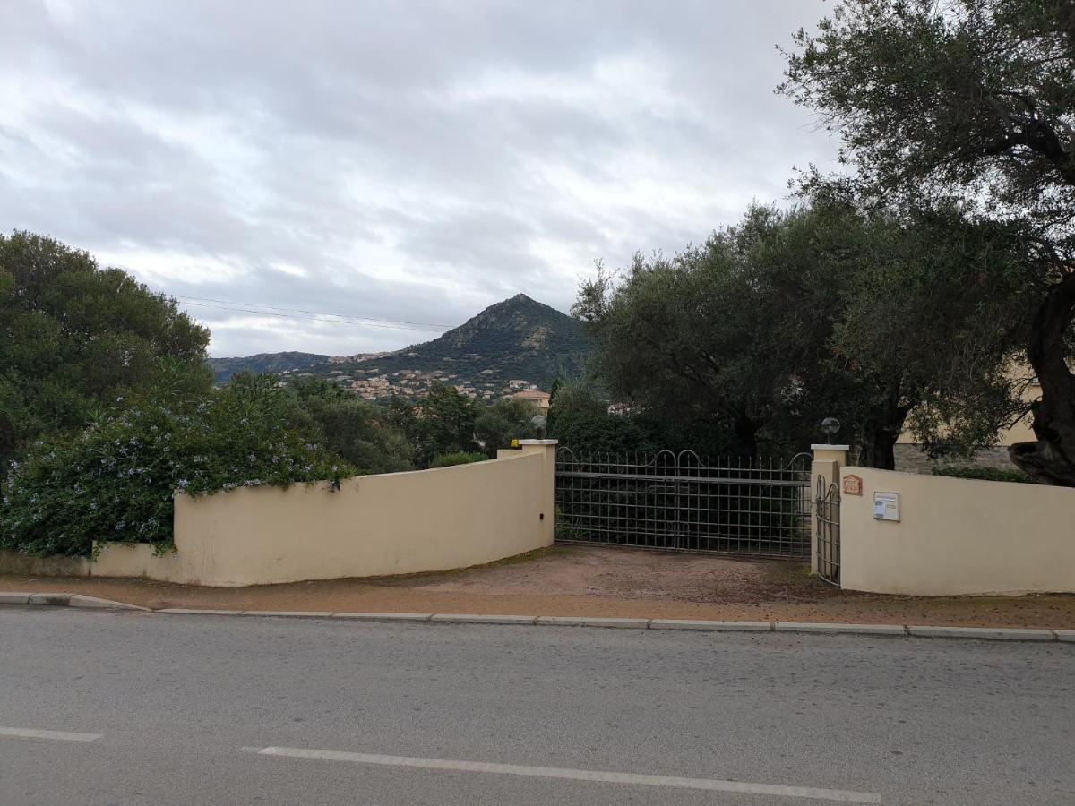Villa Athena L'Ile-Rousse (Corsica) Exterior foto