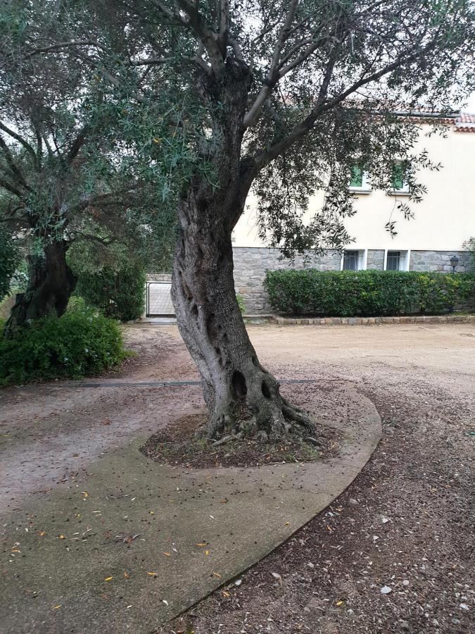 Villa Athena L'Ile-Rousse (Corsica) Exterior foto